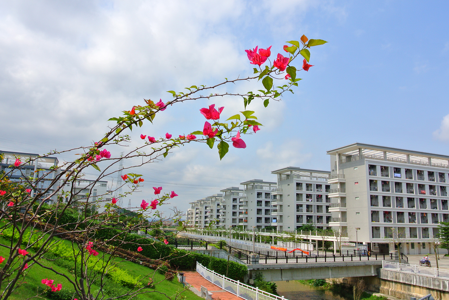 白云校区学生宿舍1